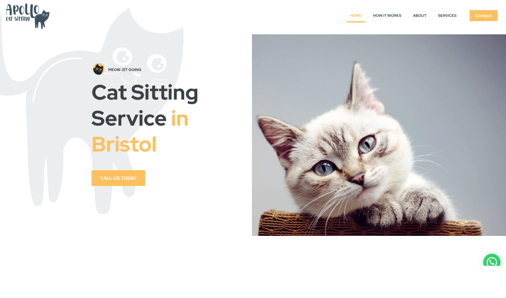 Apollo Cat Sitting