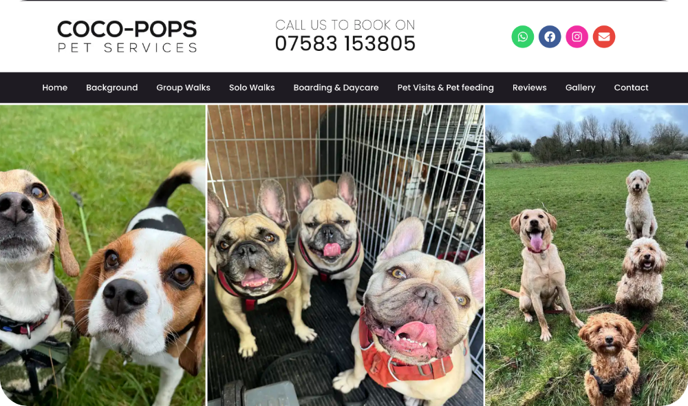 Coco-Pops Pet Service