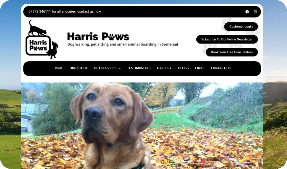 Harris Paws