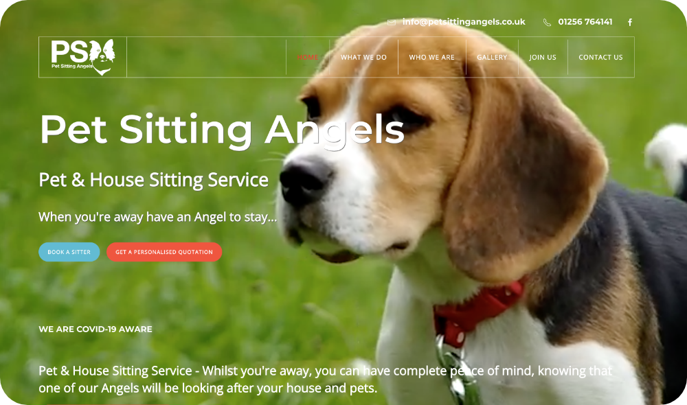 Pet Sitting Angels